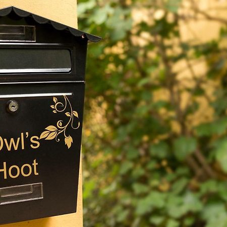 Owl'S Hoot Villa Thorndon Dış mekan fotoğraf