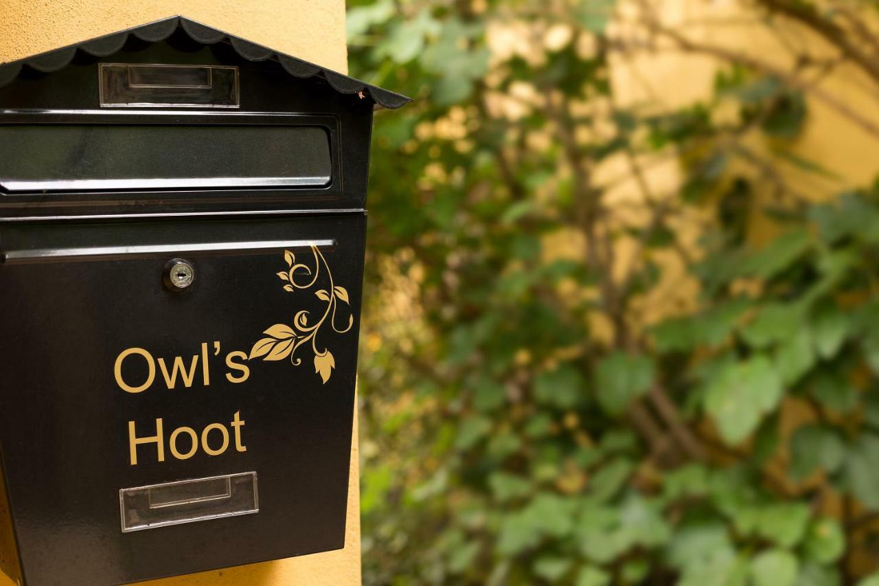 Owl'S Hoot Villa Thorndon Dış mekan fotoğraf